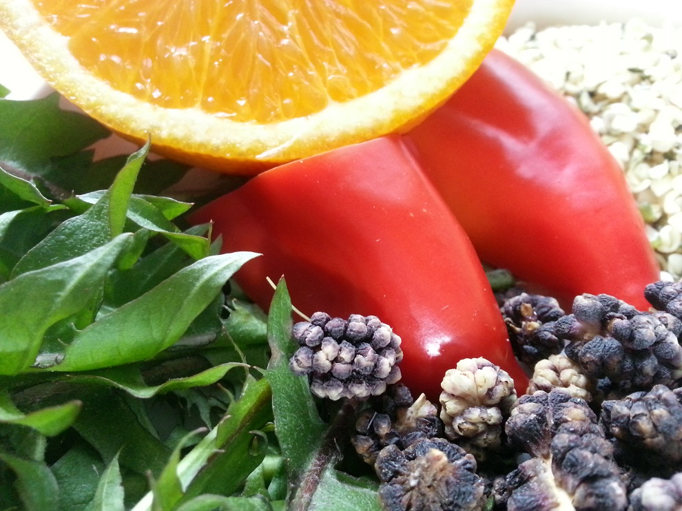 Vitamin C fördert Eisenaufnahme Vorbeugung Eisenmangel
