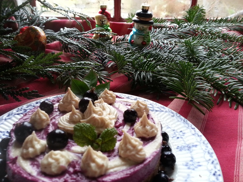 Ursel von The Raw Kitchen in Dänemark wünscht ein gutes Neues Jahr. Hier gibt es 2017 Rohkost-Kurse und Rohkost-Seminare.