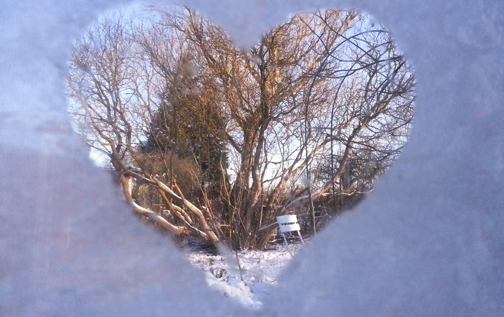 Mein Leben lang war ich im Winter immer die, die am meisten gefroren hat. Jetzt - im 3. Winter nach meiner Umstellung auf Rohkost-Ernährung - friere ich VIEL weniger als die anderen ... 