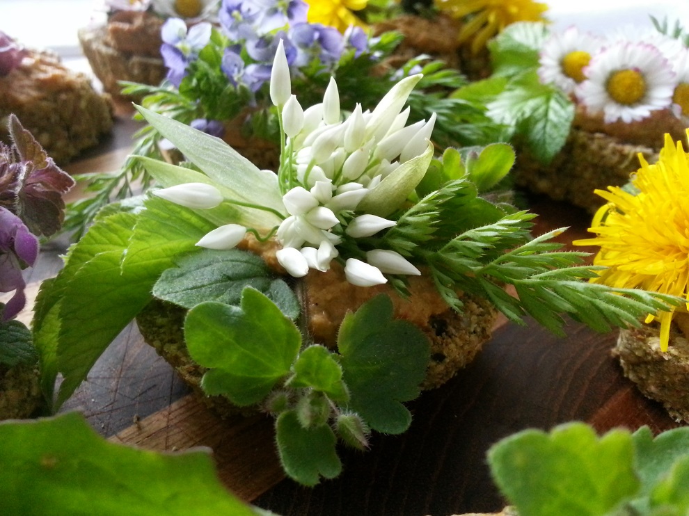 Rohkostbrot mit Linsenmus, Bärlauchblüte, verschiedenen Wildkräutern und Karottengrün