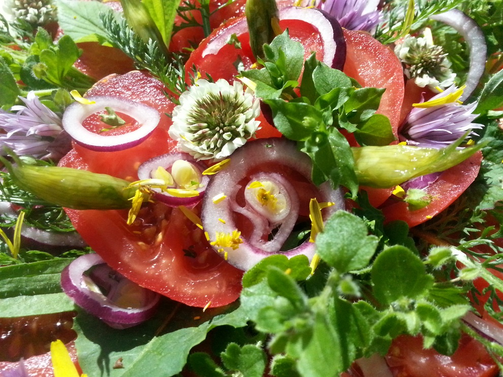 Grün und roh und bunt - wie dieser Blog - ist dieser Tomatensalat mit Wildkräutern :-) 