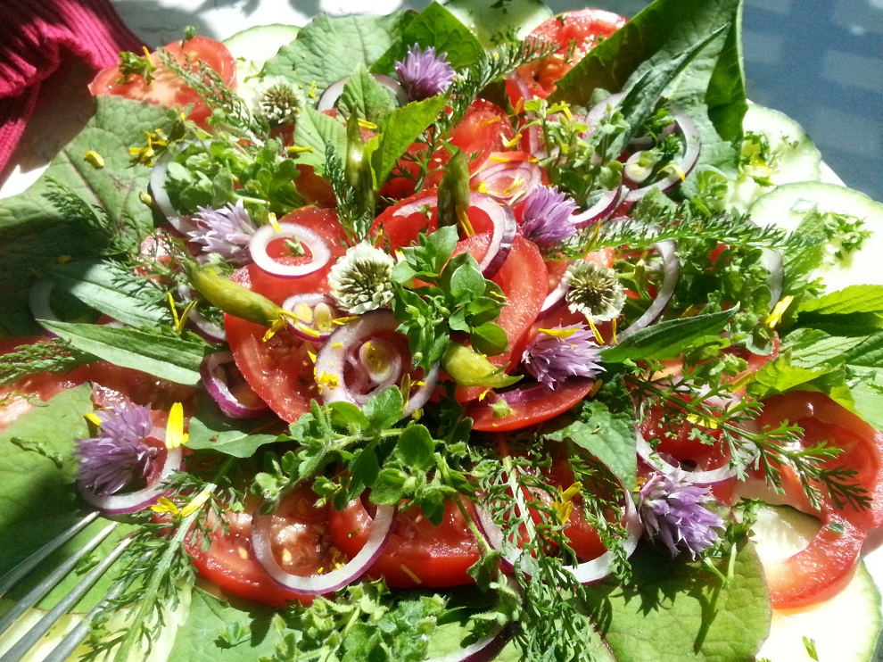 So fröhlich und bunt kann Rohkost sein! Dieser Tomatensalat mit vielen frischen Wildkräutern erfreut Leib und Seele. 