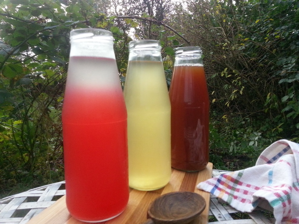 Wasserkefir ist eine natürliche, gesunde Limonade - und unglaublich vielseitig! Hier 3 Variationen, die nach dem Abgießen des ersten Ansatzes fotografiert sind. 