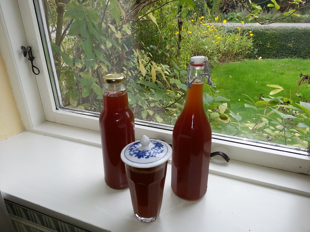 Mein erster selbstgemachter Kombucha :-) Mehr als 3 Jahre ist es jetzt her, dass ich meinen ersten Kombucha selbst gemacht habe. Diesen Kombuchapilz hatte ich sehr lange ... 